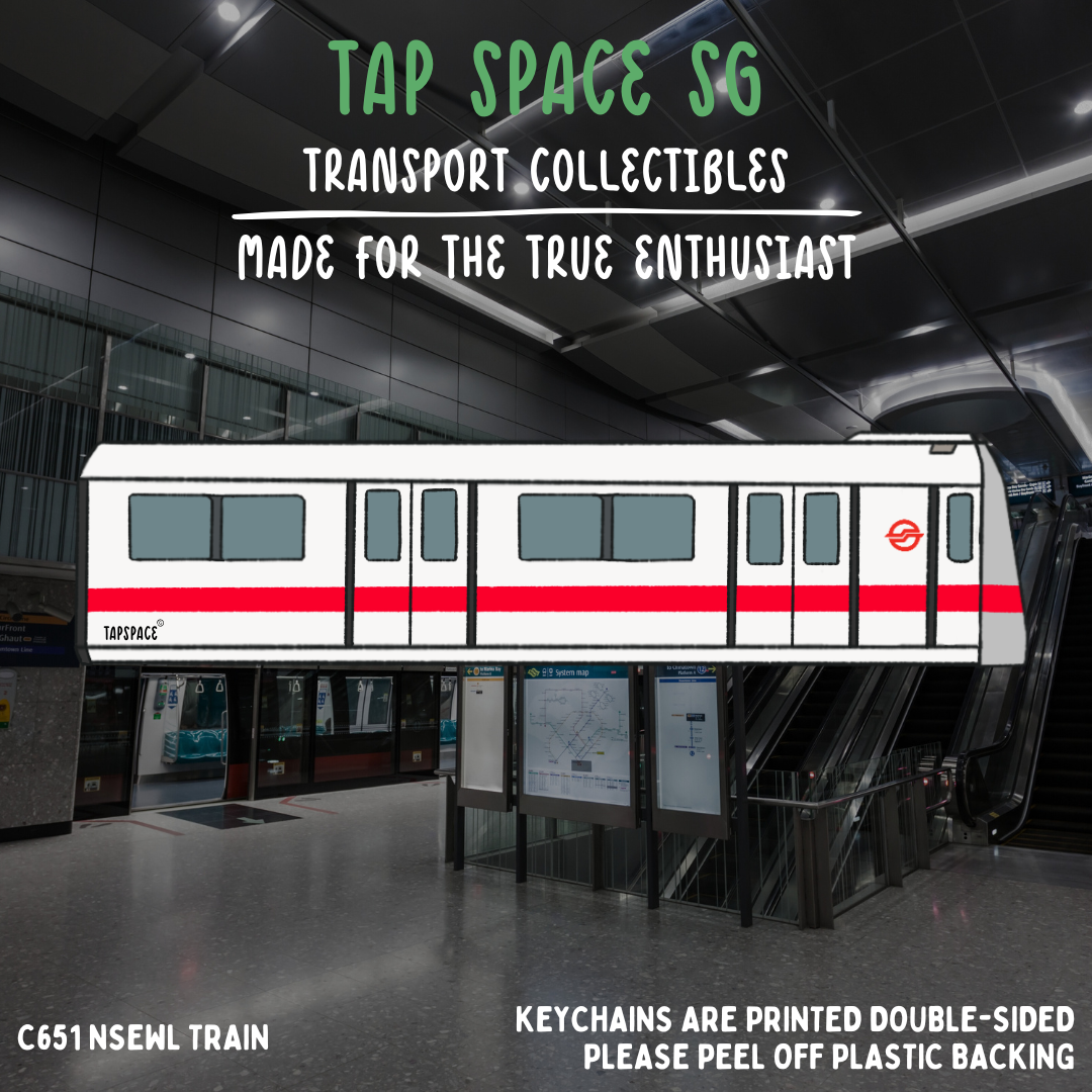 C651 NSEWL MRT Train Keychain