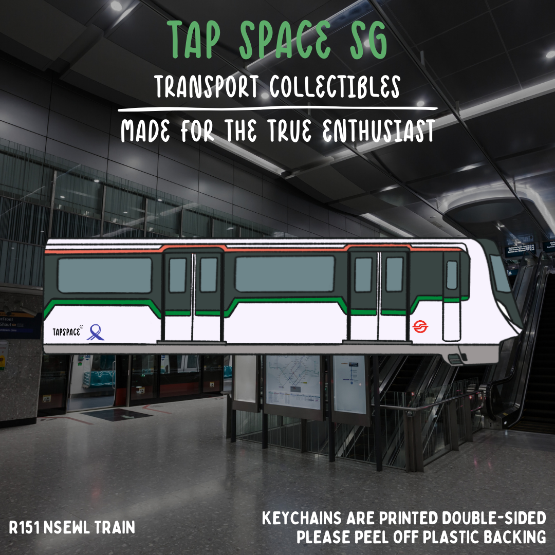 R151 NSEWL MRT Train Keychain