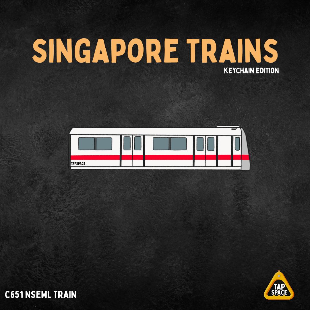 C651 NSEWL MRT Train Keychain