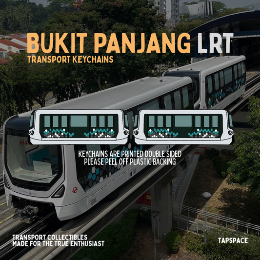 APM300R BPLRT Train Keychain